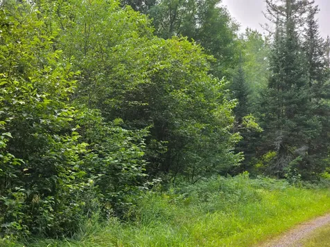 Off Highway M28 Bruce Crossing MI 49912