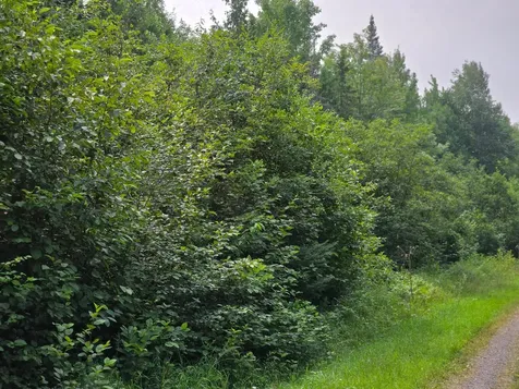 OFF Highway M28 Bruce Crossing MI 49912