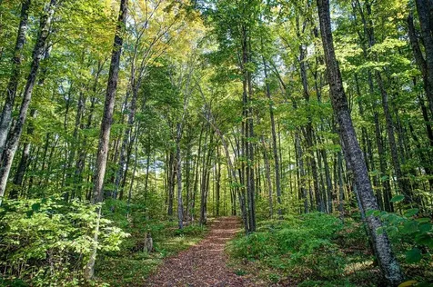 6883 Little Long Lake Lane Wabeno WI 54566