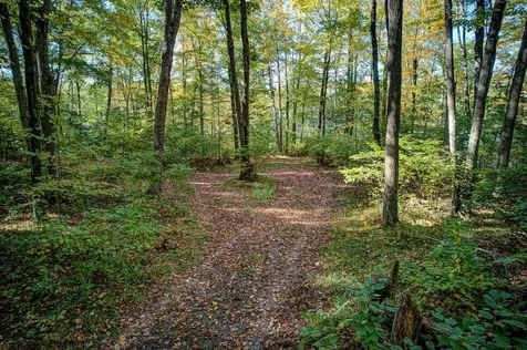 6883 Little Long Lake Lane Wabeno WI 54566