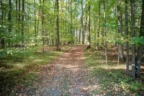 6883 Little Long Lake Lane Wabeno WI 54566