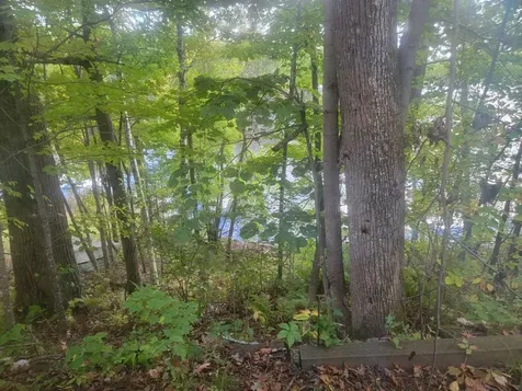 6733W Golf Course Road Winter WI 54896
