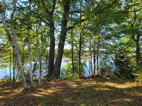 6733W Golf Course Road Winter WI 54896