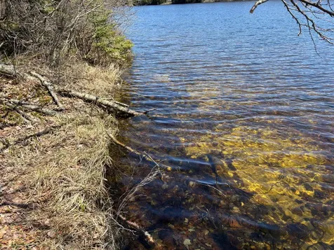 5 Acres Retriever Lane Phelps WI 54554