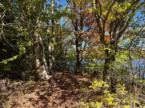 5 Acres Retriever Lane Phelps WI 54554