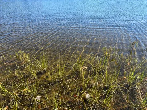5 Acres Retriever Lane Phelps WI 54554