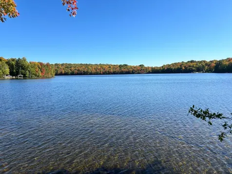 5 Acres Retriever Lane Phelps WI 54554