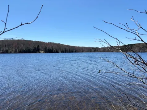 5 Acres Retriever Lane Phelps WI 54554