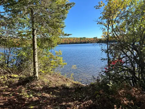 5 acres Retriever Lane Phelps WI 54554