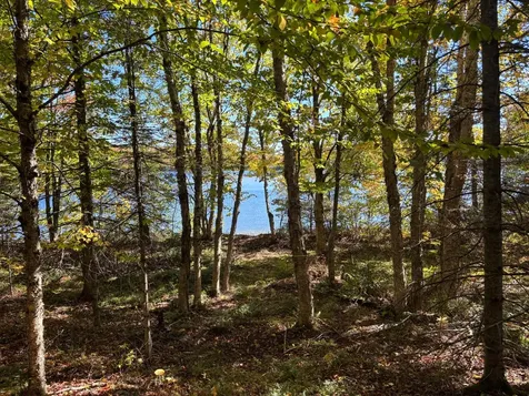 5 acres Retriever Lane Phelps WI 54554
