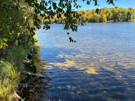 5 Acres Retriever Lane Phelps WI 54554