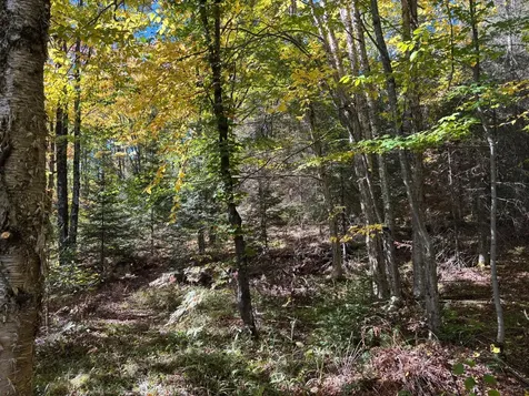5 Acres Retriever Lane Phelps WI 54554