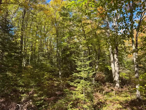 5 Acres Retriever Lane Phelps WI 54554