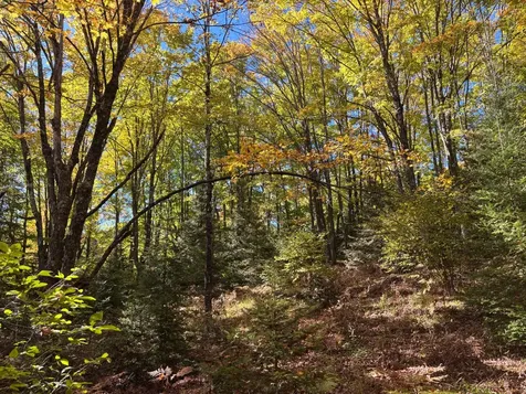 5 Acres Retriever Lane Phelps WI 54554
