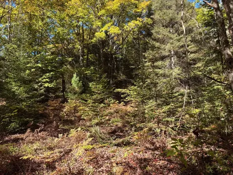 5 Acres Retriever Lane Phelps WI 54554