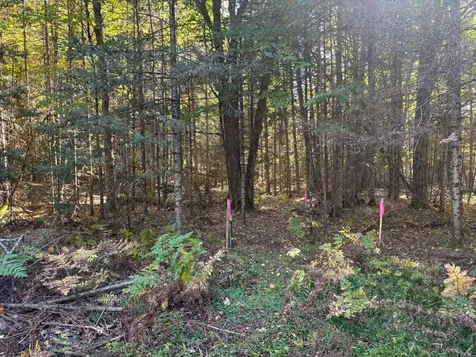 5 Acres Retriever Lane Phelps WI 54554