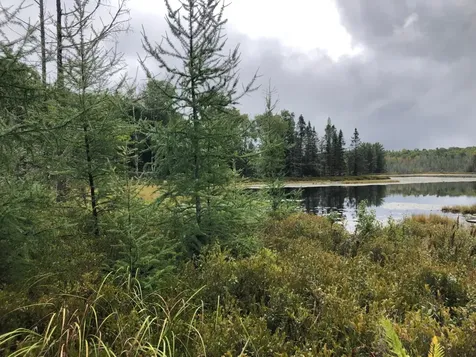 8549 Crawford Lake Road Presque Isle WI 54557