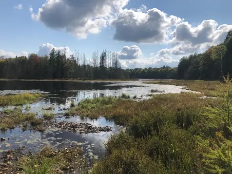 8549 Crawford Lake Road Presque Isle WI 54557