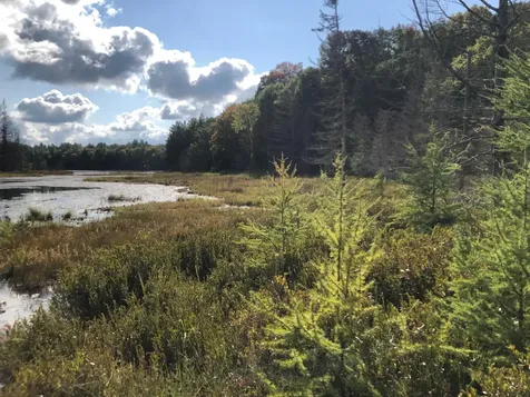 8549 Crawford Lake Road Presque Isle WI 54557