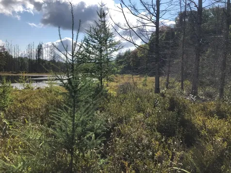 8549 Crawford Lake Road Presque Isle WI 54557