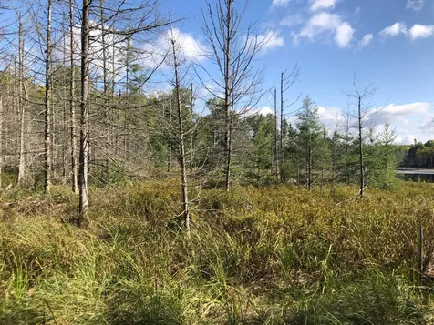 8549 Crawford Lake Road Presque Isle WI 54557