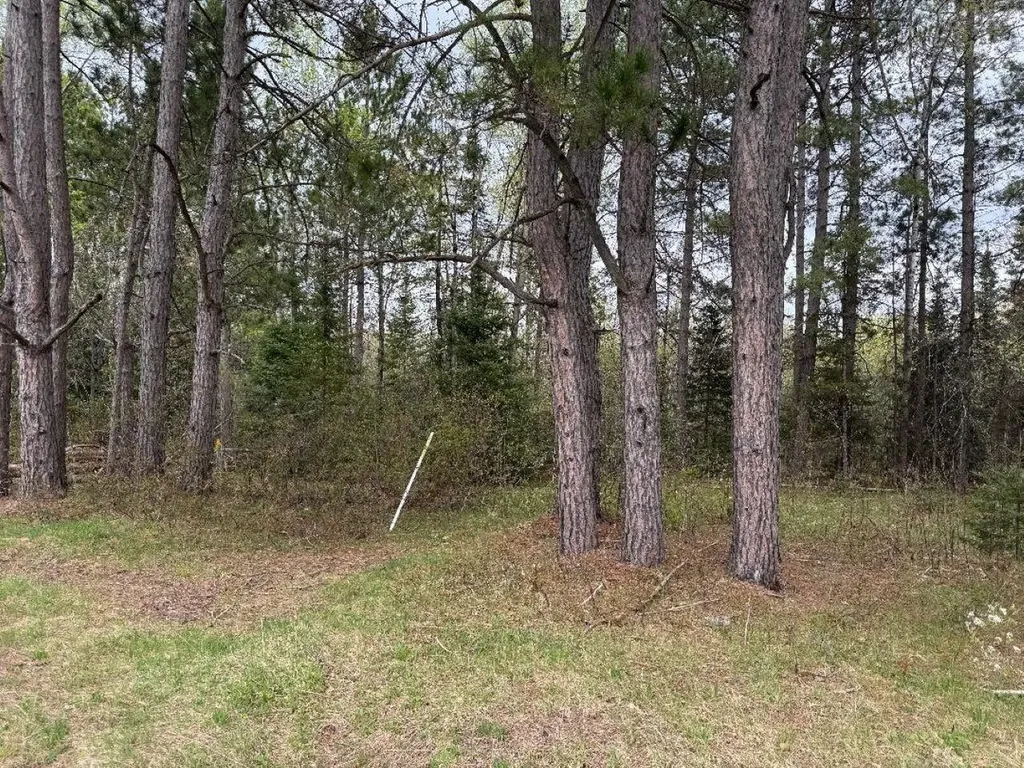 Lot On Highway 51 Oma WI 54534