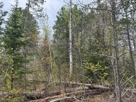 Lot On Highway 51 Oma WI 54534