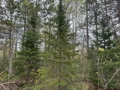 Lot On Highway 51 Oma WI 54534