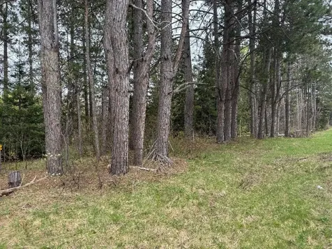 Lot On Highway 51 Oma WI 54534