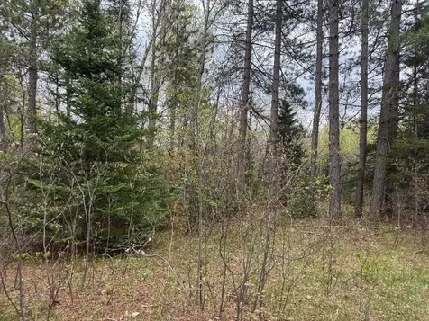 Lot On Highway 51 Oma WI 54534