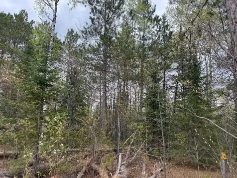 Lot On Highway 51 Oma WI 54534