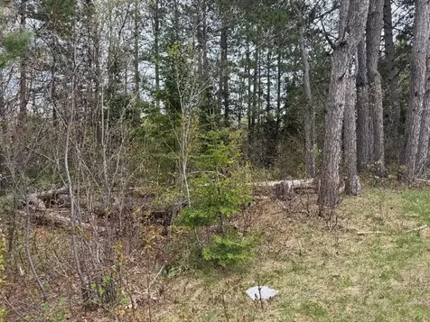 Lot On Highway 51 Oma WI 54534