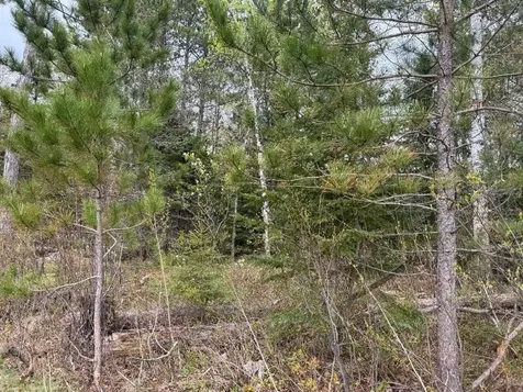 Lot On Highway 51 Oma WI 54534