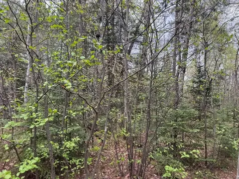 Lot On Highway 51 Oma WI 54534