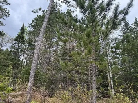 Lot On Highway 51 Oma WI 54534