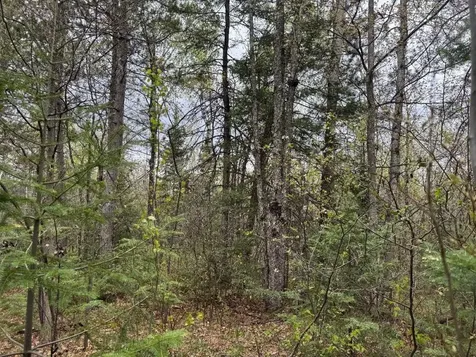 Lot On Highway 51 Oma WI 54534