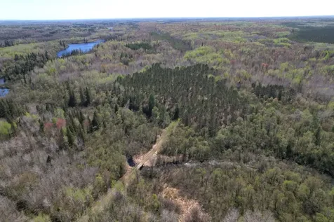 Off Hay Creek Road Prentice WI 54556