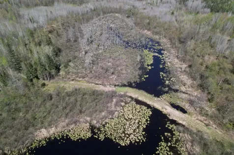 Off Hay Creek Road Prentice WI 54556