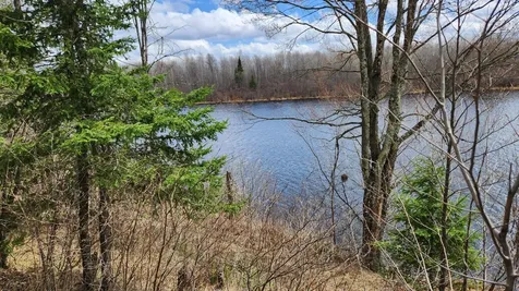 Off Hay Creek Road Prentice WI 54556