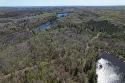 Off Hay Creek Road Prentice WI 54556