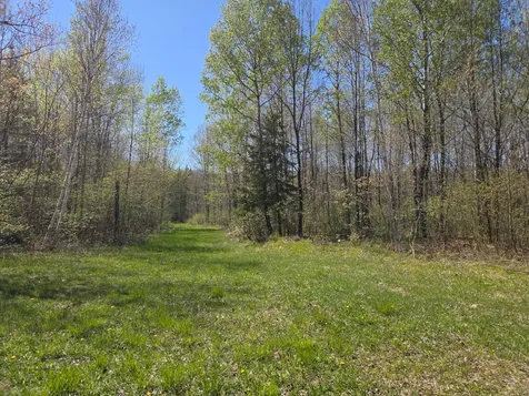 Off Hay Creek Road Prentice WI 54556