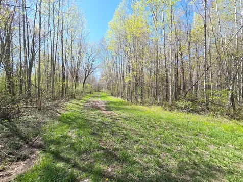 Off Hay Creek Road Prentice WI 54556