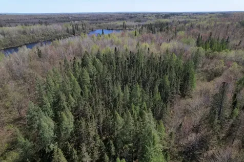 Off Hay Creek Road Prentice WI 54556