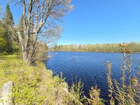 Off Hay Creek Road Prentice WI 54556