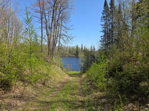 Off Hay Creek Road Prentice WI 54556