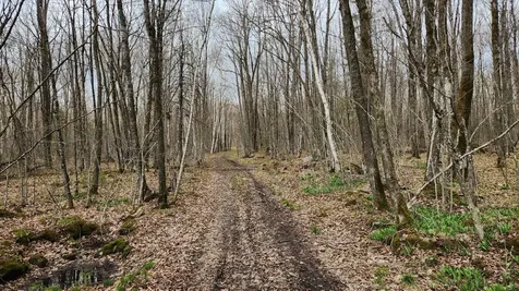 Off Hay Creek Road Prentice WI 54556
