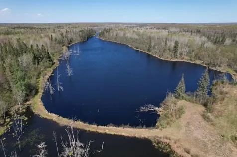 Off Hay Creek Road Prentice WI 54556