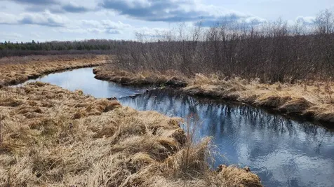 Off Hay Creek Road Prentice WI 54556