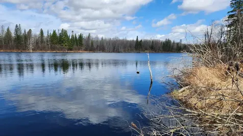Off Hay Creek Road Prentice WI 54556