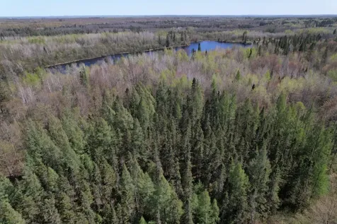 Off Hay Creek Road Prentice WI 54556